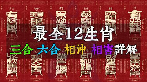 相沖生肖|十二生肖貴人；三合 (相生)、六合 (相合)、三會、相沖 (六沖)、相。